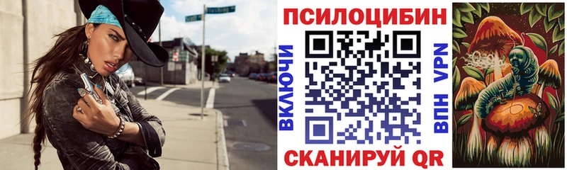 цена   Усолье-Сибирское  Псилоцибиновые грибы Psilocybe 